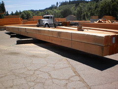 60' long timbers
